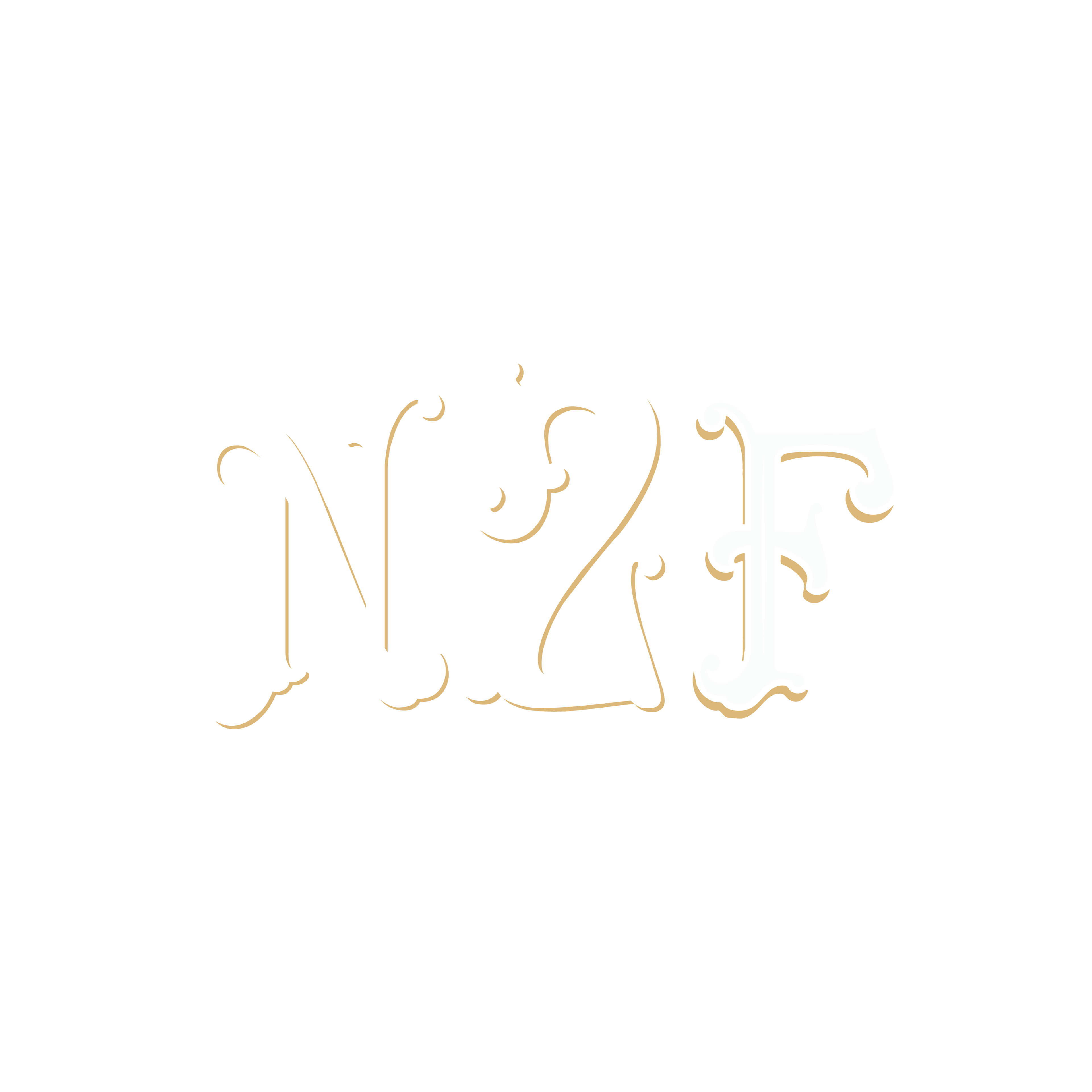 N2F logo